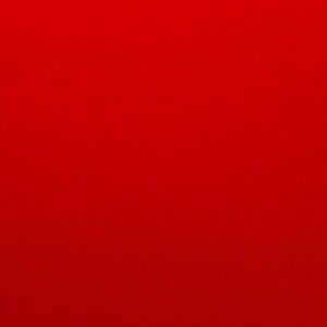 Meet your Posher, Carmen